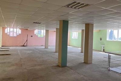 Casă cu 5 camere cu Canalizare în Cățelu - 10