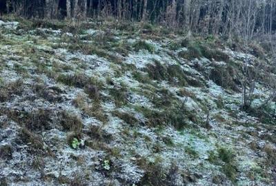 Teren intravilan, 20000 mp, zona Manastirea Humorului - 2