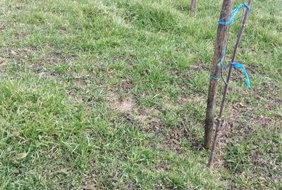 Spațiu comercial, în Ionești - 2