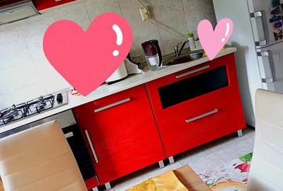 Apartament cu 2 camere semidecomandat în Vișan - 3