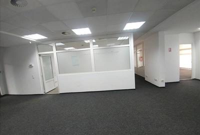 Birouri de inchiriat in zona parcului - 7