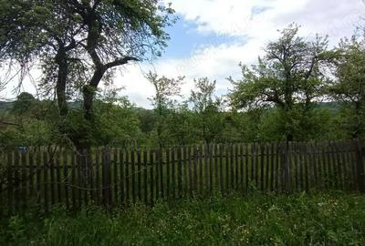 Teren de 860 mp, în Corbi - 3