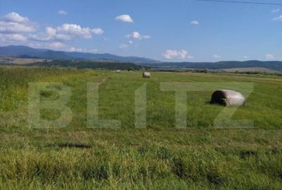 Teren extravilan, Livezile, 1.83 hectare - 3