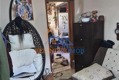 Vanzare apartament 2 camere Drumul Taberei - Parc Moghiros - 4