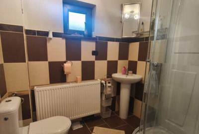 Casă cu 4 camere cu Teren 2600 Mp în Horodnic - 14