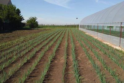 Proprietate de vanzare langa Bucuresti - 4