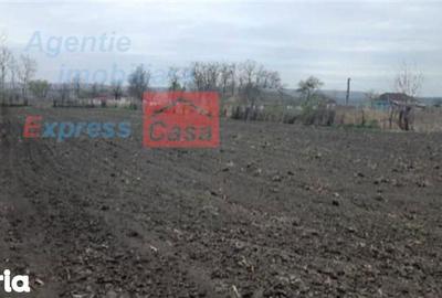 Teren de 3000 mp, în Prisăcani - 3