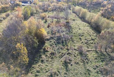 Teren si casa de vanzare la baza muntelui Iezer in Valea Mare Pravat - 13