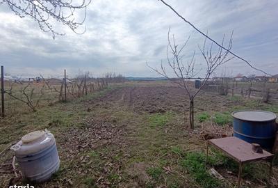 Casă cu 2 camere cu Teren 1400 Mp în Central - 5