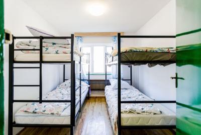 De vanzare proprietate pretabila cazare/locuire/pensiune rurala,  Carani, Timis - 17