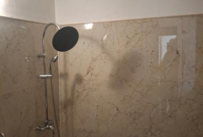 2Camere Patelimon Morarilor Parcul Florilor 2Camere Patelimon Morarilor Parcul Florilor - 11