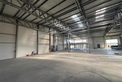 Inchiriere depozit/hala/spatiu industrial Mogosoaia - Buftea - 9