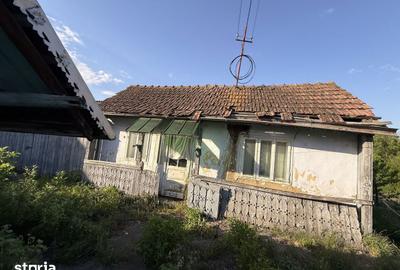 Casă cu 3 camere cu Teren 3200 Mp în Brusturi - 1