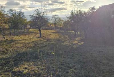 Teren de 1450 mp, în Valea Crișului - 6