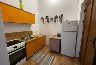 Apartament cu 2 camere la casa, Pet Friendly, situat central - pe Strada Lunga - 8