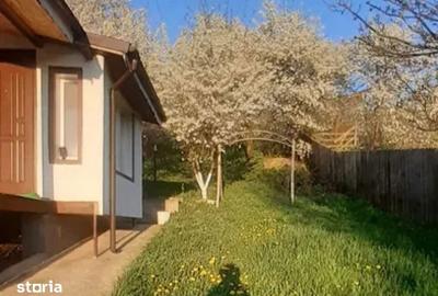 Casă cu 4 camere cu Teren 1000 Mp în Sărata - 5