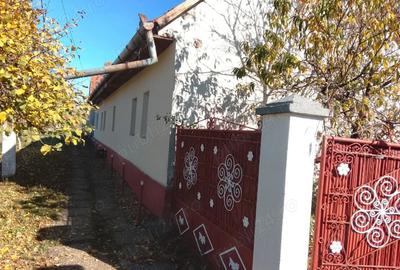 Casa de vanzare la 50km de Timisoara - 7