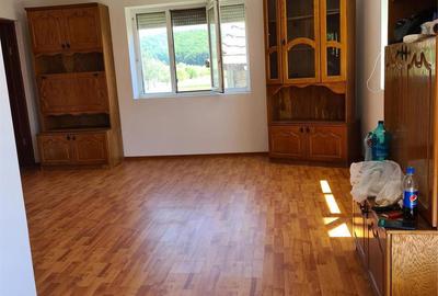 Casă cu 2 camere în Românași - 7