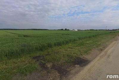 Teren de 25000 mp, în Moara Vlăsiei - 1