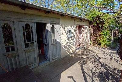 Casă individuală cu 4 camere cu Canalizare în Slobozia Conachi - 11
