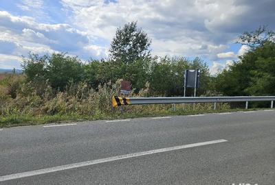 Teren de 2300 mp, în Central - 5