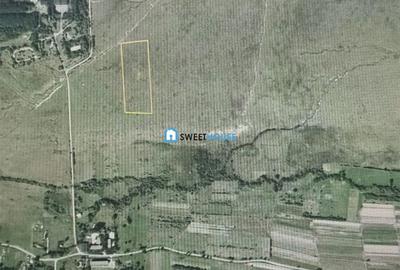 Teren de 22790 mp, în Recea - 9