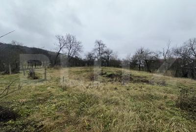 Teren 3000 mp + 2 case de vanzare-Ca?eiu - 8