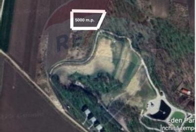 Teren 5,000mp Vorovesti / None - 2