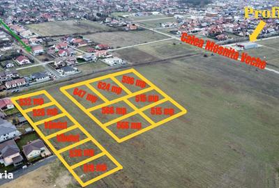 Spațiu comercial, în Moșnița Nouă - 7