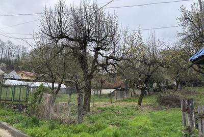 Casă cu 3 camere în Râu Alb de Jos - 6