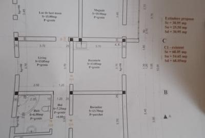 Casa 3 Camere, beci, magazie, mansarda – 500 mp Teren - 8