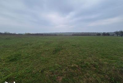Teren de 10070 mp, în Mitocu Dragomirnei - 4