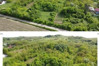 Teren de 4740 mp, în Bălteni - 3