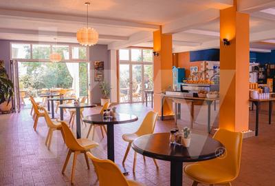 PENSIUNE ELEGANTĂ DE VANZARE IN TURNIȘOR! - 3