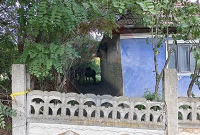 5.000 mp intravilan in Rascruci - aproape de Cluj si Parcul Industrial - 6