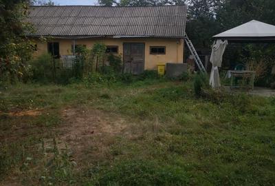 Vand casa batraneasca in Prajesti 77m2,plus 2 anexe gospodare?ti cu teren 4900m2 - 3