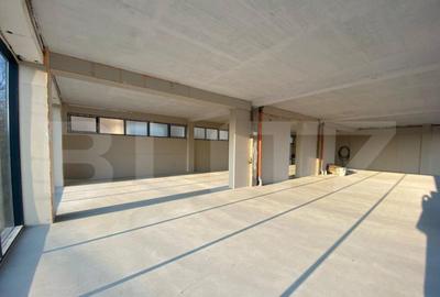 Spatiu de birouri, 200 mp, zona Torontalului- 10/mp - 4