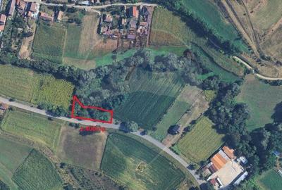 Teren 1,400mp Medias / Valea lunga - 6