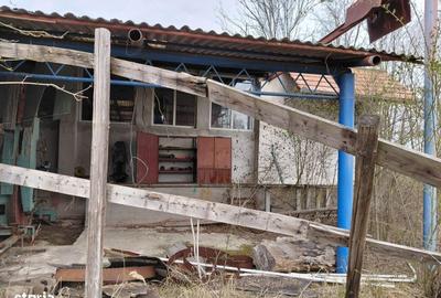 Spațiu comercial, în Hodiș - 10