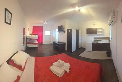 Pensiune Retrasa Ideala Petreceri Private Costinesti - Schitu - 2