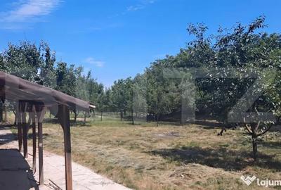 Spațiu comercial, de 7,900 mp, în Botiz - 6