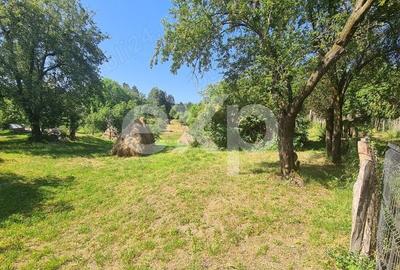 Teren Construcții intravilan de 6348 mp, în Corbeni - 10