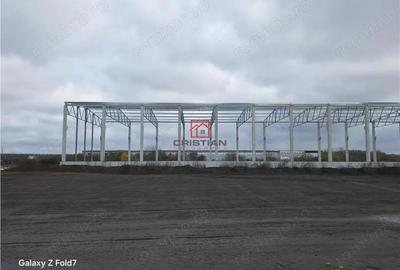 Vanzare depozit hala spatiu industrial Mogosoaia - Buftea - 8