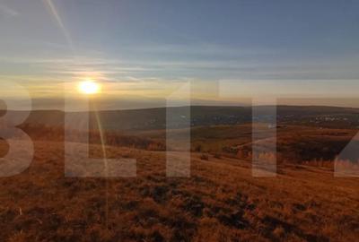 Teren de 8600 mp, în Sălicea - 3