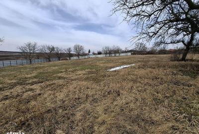 Casă cu 3 camere în Secuieni - 3