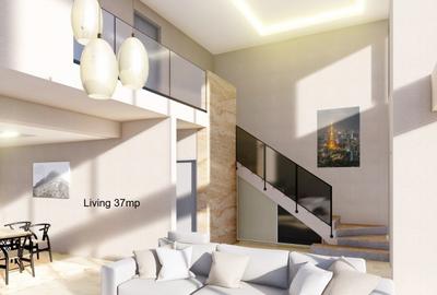 Proiect Rar – Vilă Spațioasă cu Living pe Două Niveluri