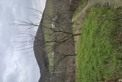 Casa de vanzare Babadag - 2