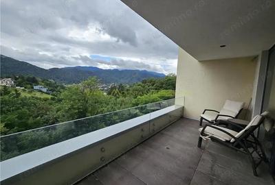 Garsoniera premium de inchiriat Drumul Poienii - 16