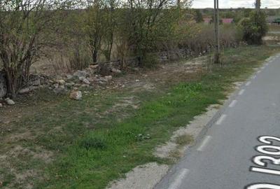 Teren de 4000 mp, în Plopeni - 5