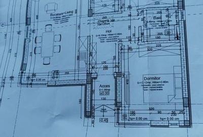 Casa parter 3 camere, dressing, curte 375 mp - 4